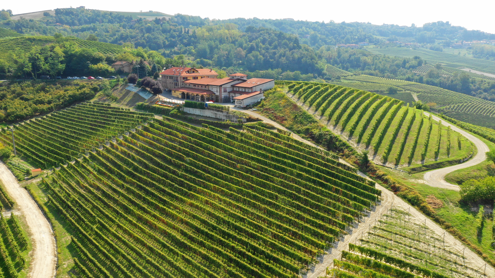 Barbera d'Alba DOC Superiore «La Lisi» (rot) 2022