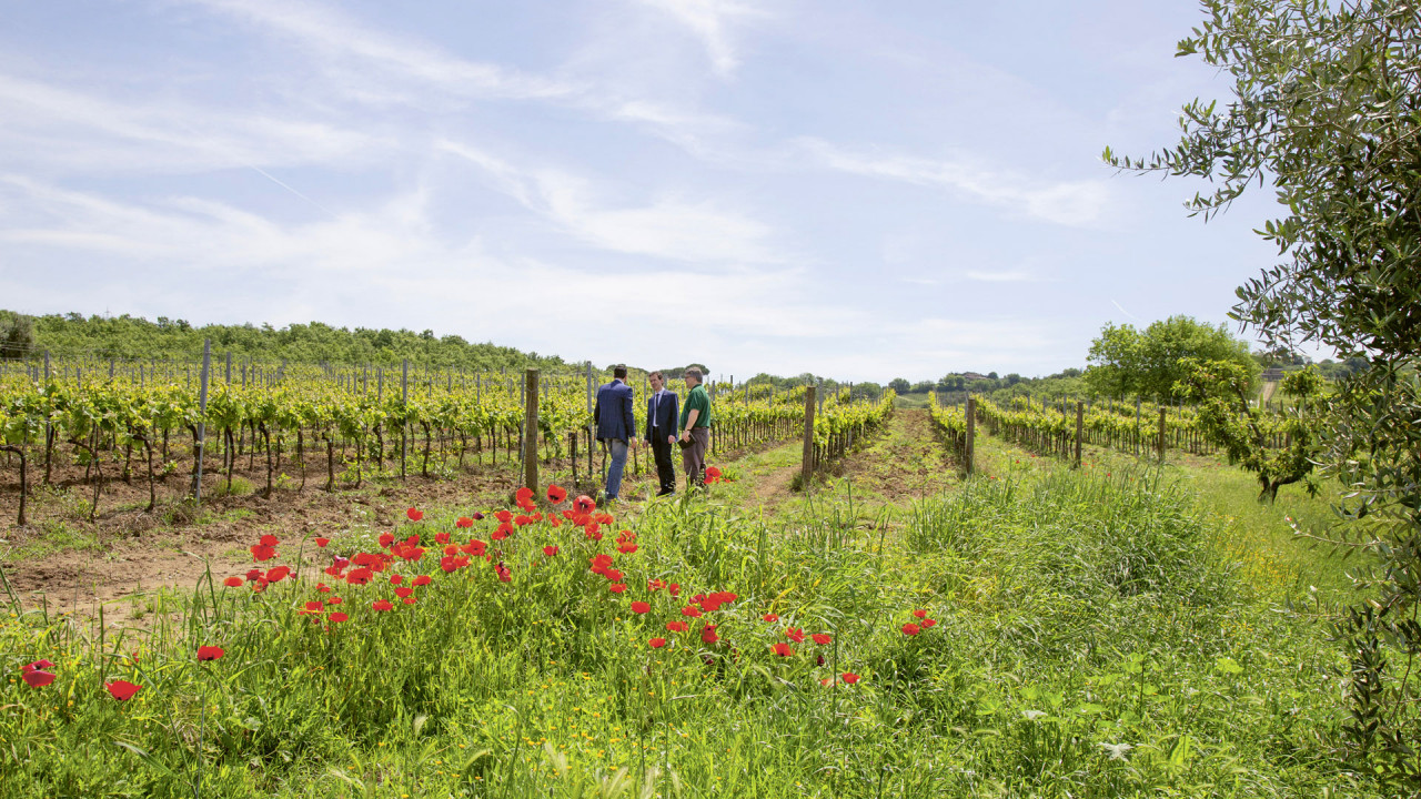 «Fobiano», La Carraia (rot) 2017 Umbria